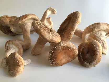 Bio-Shiitake Miso