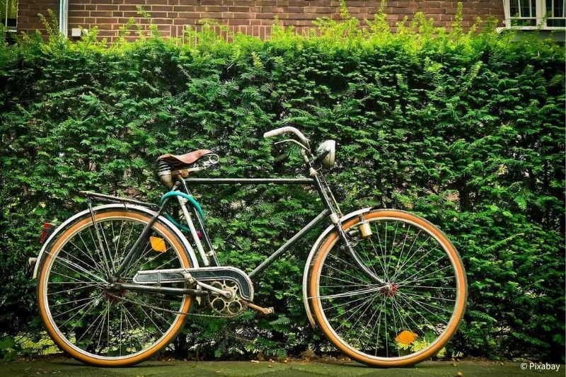 Altes Fahrrad lehnt an der Hecke vor einem Backsteinhaus.